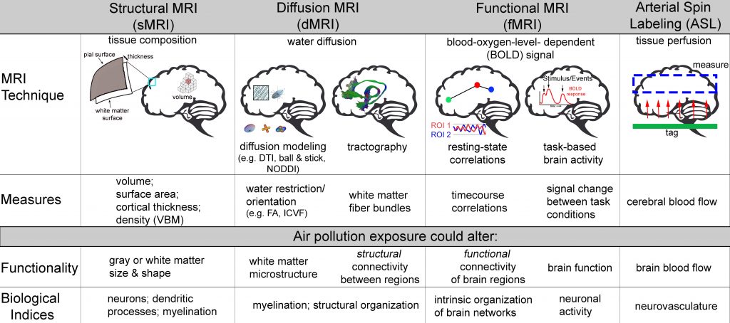 The Impact of Air Pollution on the Brain — BrainPost  Easy-to-read  summaries of the latest neuroscience publications